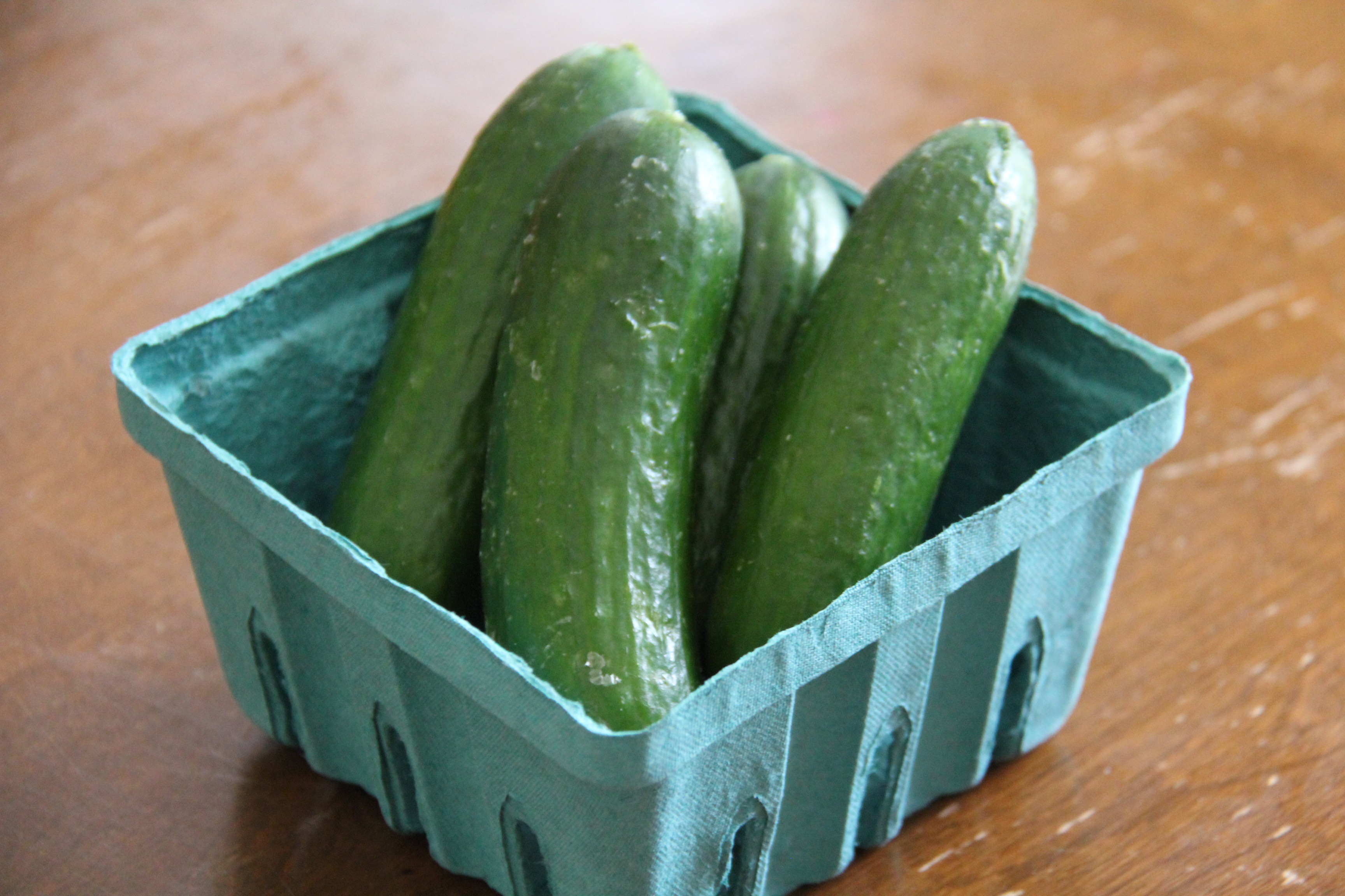 Healthy Cucumbers