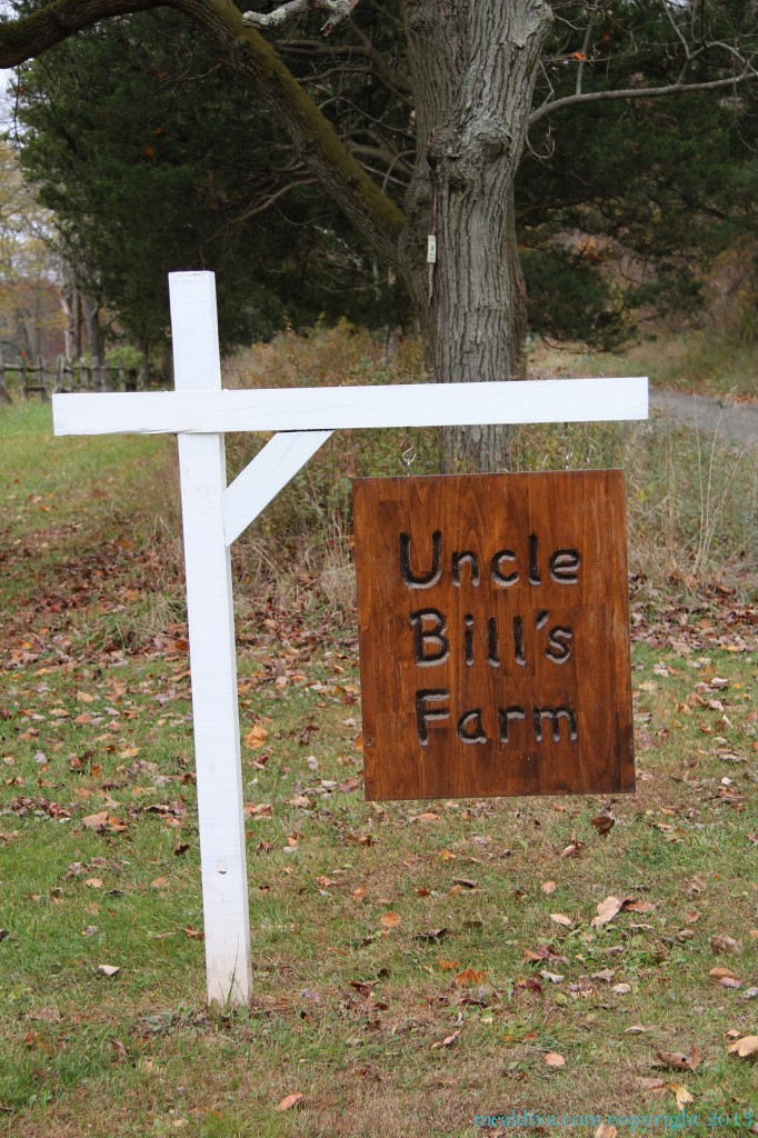 uncle bill 9
