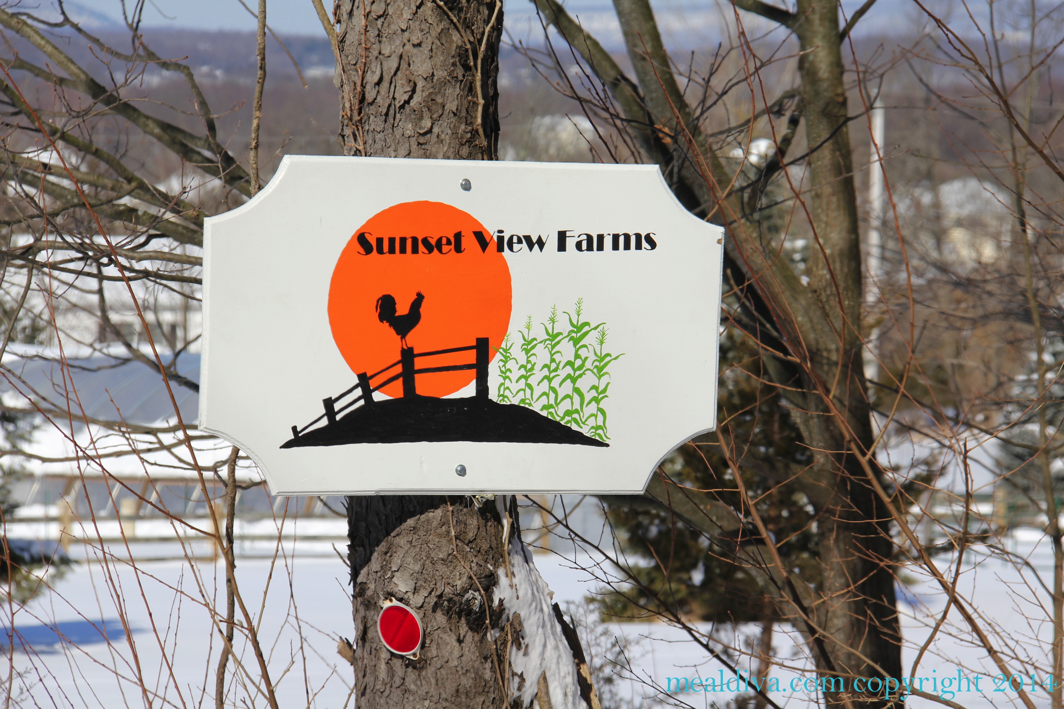 Become A Farmer at Sunset View Farms