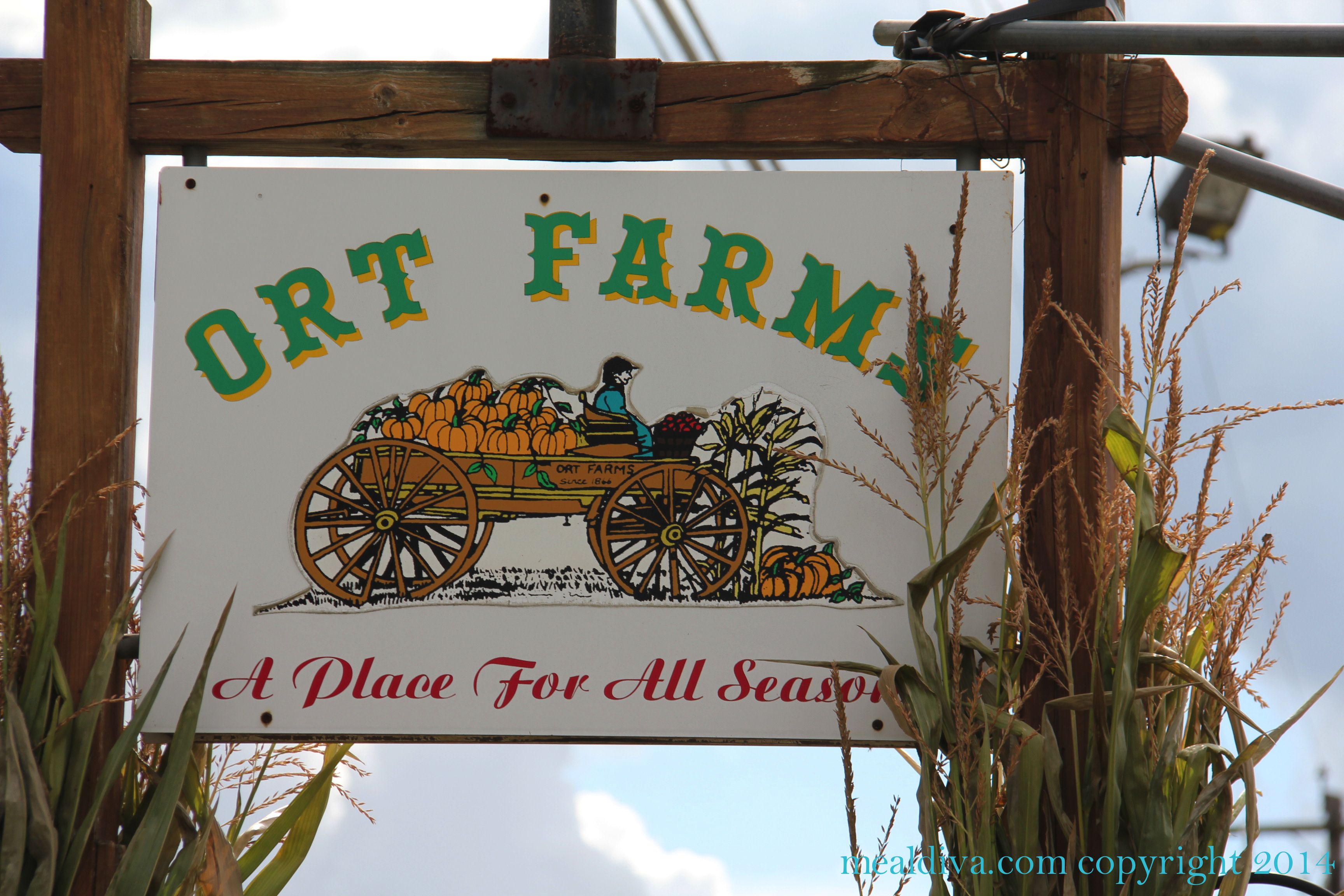 Ort Farms in Long Valley