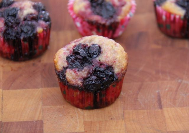 Decadent Gluten Free Blueberry Muffins