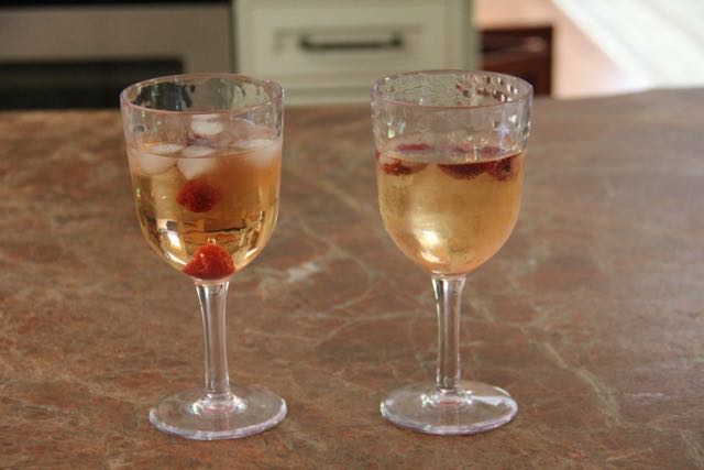 How to Make Wine Spritzer