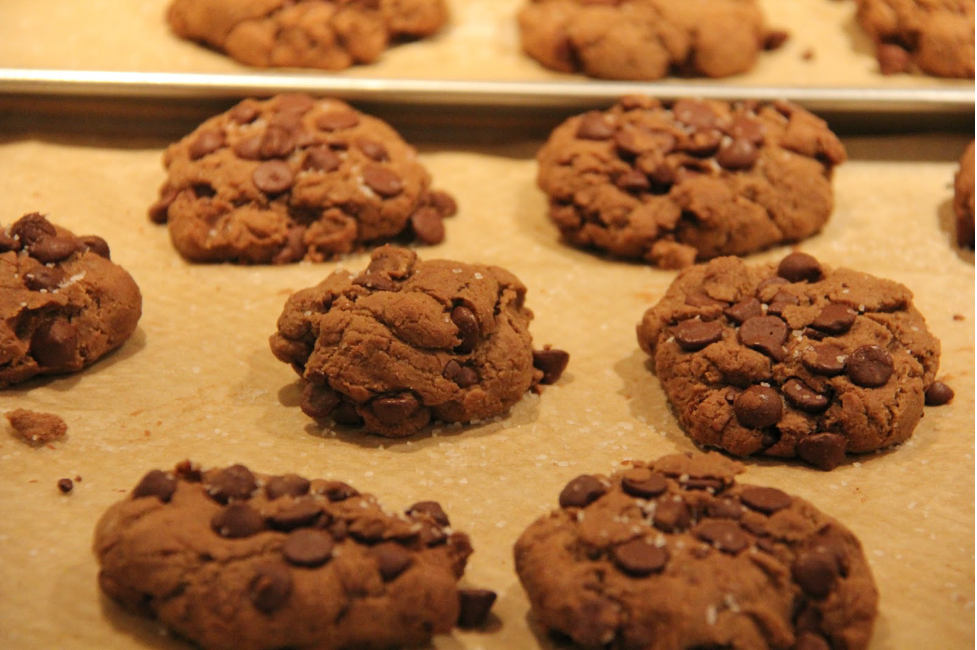Gluten-Free Double Chocolate Chip Cookies – MealDiva