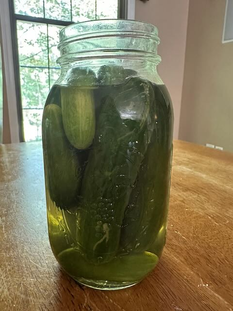 The Easiest Pickle Recipe On The Internet